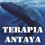 BANNER - Terapia ANTAYA - Mari Carmen Perez