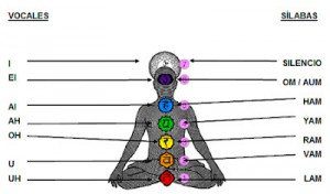 chakras numerados 300x176 Equilibrio de los chakras con el canto: un ejercicio de autosanación creativa