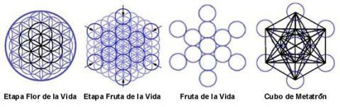 geometria_sagrada_etapas_flor_de_la_vida