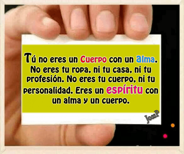 Yo soy