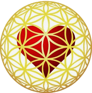 20170819 willyhern39164 id131097 Método Melchizedek 1 - Sanación Holográfica a través del Método Melchizedek, ¡extraordinaria experiencia de Amor, Luz, Sanación y Rejuvenecimiento! - hermandadblanca.org