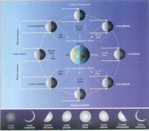 Fases-lunares-002