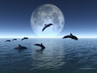 Tierra con delfines