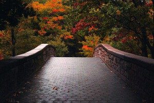 Paseo a travez del otoño en Boston por Mark Dela Cruz