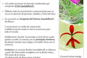 Seminario de Entrenamiento Profesional "Esencias AnandaFlora" . 24 y 25 de Julio