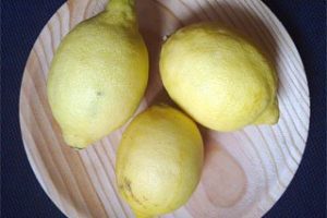 Los beneficios del milagroso limón, por María Desirée Santana