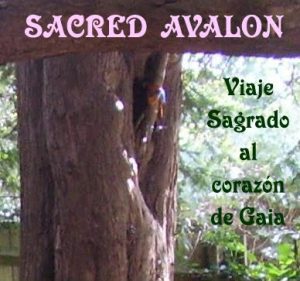 Sacred-Avalon