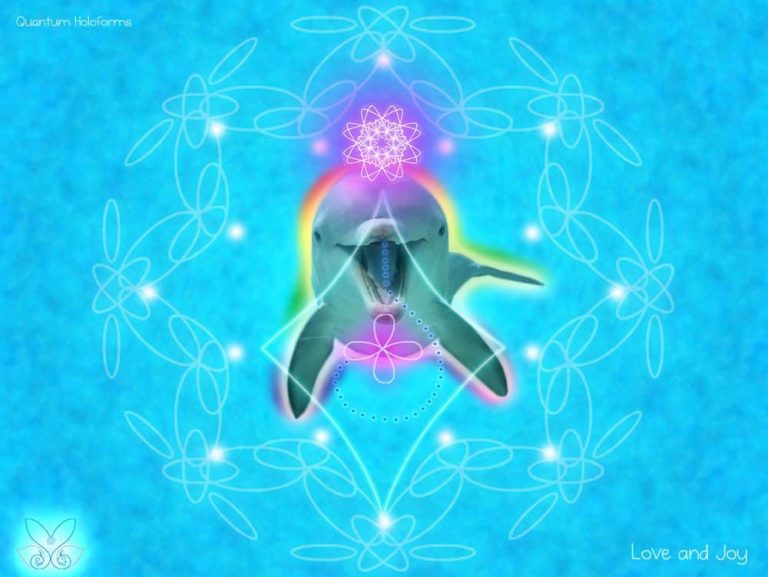 alegria-delfin_patagonia