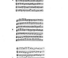 La estructura fractal de los osciladores armónicos en la música: Concierto de año nuevo: JS.Bach. Conciertos de Brandemburgo.