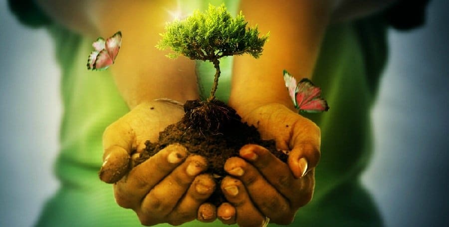 rec3 servicio energetico para colaborar en la purificacion del elemento tierra