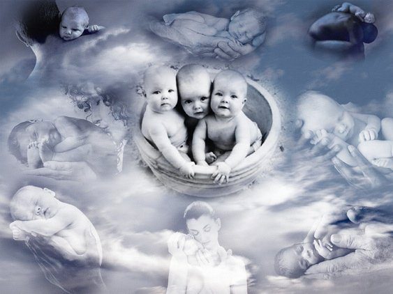 Anne Geddes Babies Collage