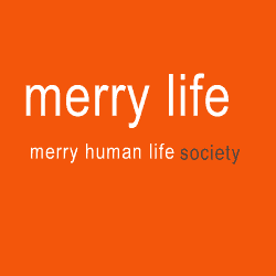 banner  merry life