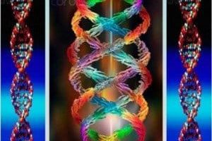 Taller: Acceder al ADN Cristalino Crístico
