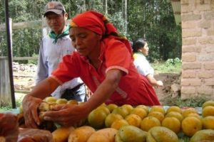 El éxito de la economía solidaria