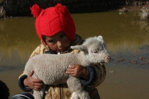 niño con una ovejita hermandadblancaorg