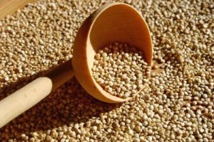 La Quinoa: El Tesoro Olvidado de los Incas