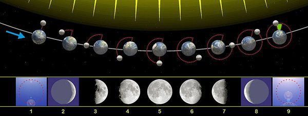 fases lunares