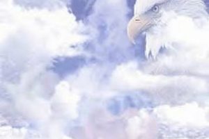 Metatron: El Retorno del Águila Blanca canalizado por James Tyberonn