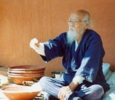 La técnica de la no intervención o el Wu Wei de Masanobu Fukuoka.