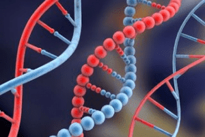 El ADN es un internet biológico, traducción de Abjini Arráiz