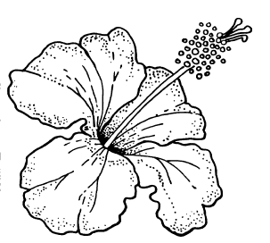 hibiscus en blanco y negro