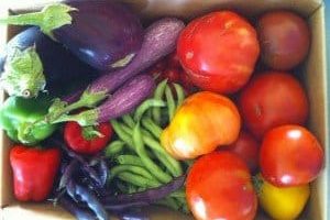 Agroecología; Alimentación Sana, cuerpo saludable