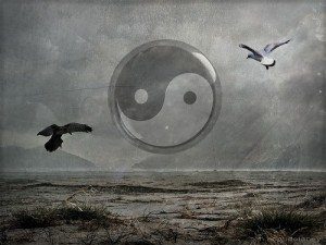 el ying y yang con dos pájaros volando