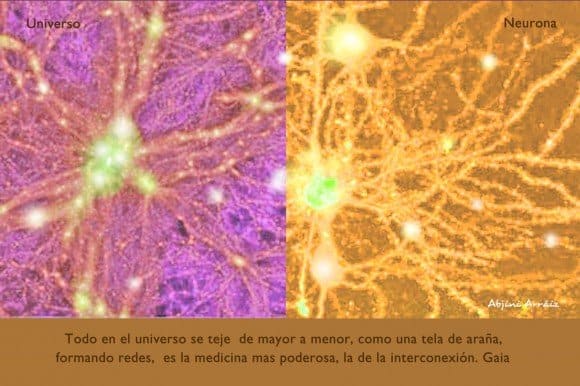 Neurona-Universal-2