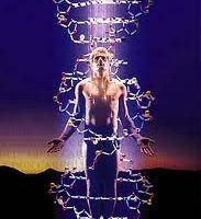 Iluminar el ADN: la transmutación e integración de la oscuridad mediante el AMOR