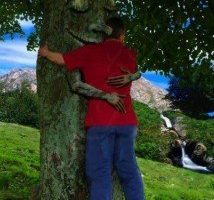 Abrazar un árbol