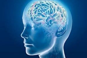 Las frecuencias cerebrales y los estados de conciencia
