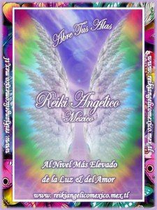 Reiki angelico Nora Hernandez Logo con mariposas