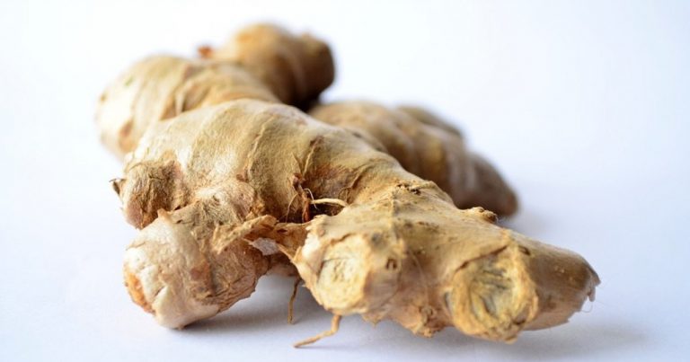 las propiedades adelgazantes del jengibre
