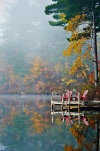 bosque