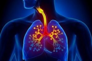 Pulmones y vías respiratorias débiles o enfermas: jugo restaurador medicinal y un secreto curativo
