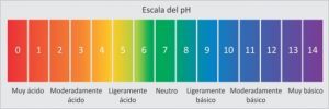 La importancia de un estilo de vida alcalino: El pH