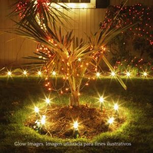 arbol de navidad con luces