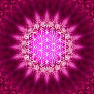 geometria-sagrada-flor-de-la-vida-violeta-fondo-rosa