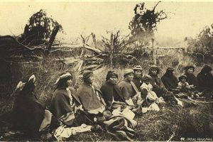 Los Indios Mapuches – Sabiduria Indígena