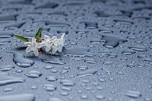 Mensaje Madre Divina: Están lloviendo buenas oportunidades que debes aprovechar