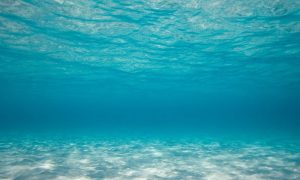 20161218 tornasol id119483 almas gemelas un ensayo sobre el amor mar agua - Almas Gemelas: Un Ensayo sobre el Amor - hermandadblanca.org