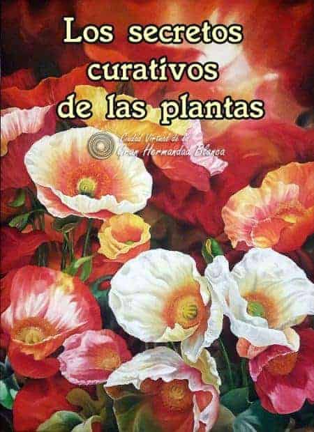 20170118 domgel33321 id121309 christian olivares flores 80x120cm opt 450×620.jpg - Los secretos curativos de las plantas. Parte 1 - hermandadblanca.org