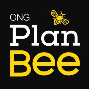 20170226 rosa id122912 ong plan bee zona de reserva de abejas consumida por las llamas PLAN BEE - ONG Plan Bee Zona de Reserva de abejas consumida por las llamas - hermandadblanca.org