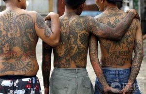 20170323 willyhern39164 id123847 tatuajes delictivos - Tatuajes, marcas de poder y pertenencia en menores infractores - hermandadblanca.org