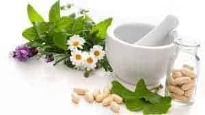 ¡Extraordinarias Plantas Medicinales! Conoce grandes beneficios para tu Salud
