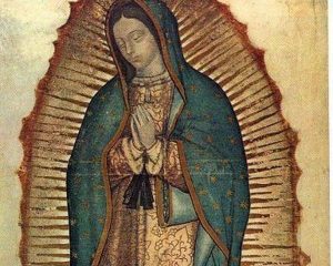 20170709 willyhern39164 id128911 madre de guadalupe 300×240.jpg - ¿Conoces el Milagro de los ojos de la Madre de Guadalupe? ¡Conócelo, es extraordinario! - hermandadblanca.org