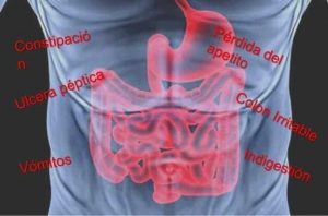 20171030 jariel id134350 Trastornos gastrointestinales - Cómo prevenir las enfermedades gastrointestinales - hermandadblanca.org