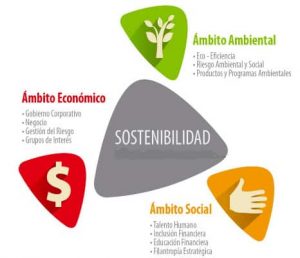 20171119 jariel id135059 Davivienda - Cómo promover la sostenibilidad desde la economía - hermandadblanca.org