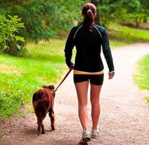 paseandoperro - ¿Cómo las Mascotas Pueden Mejorar Nuestra Salud? - hermandadblanca.org