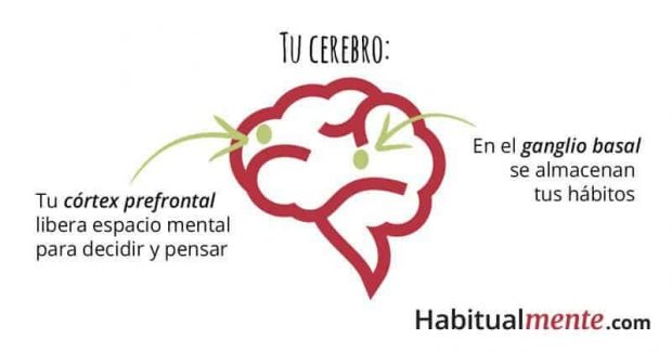Superpoderes Akáshicos: El Secreto 5 cerebro esquema aprendizaje superpoderes akáshicos: el secreto ID150105 - hermandadblanca.org